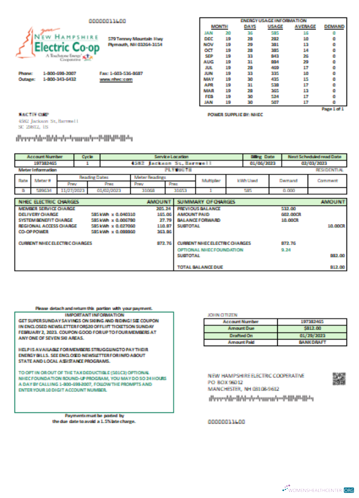 Download New Hampshire Electric Co op electricity utility business bill, SCR Photoshop template
